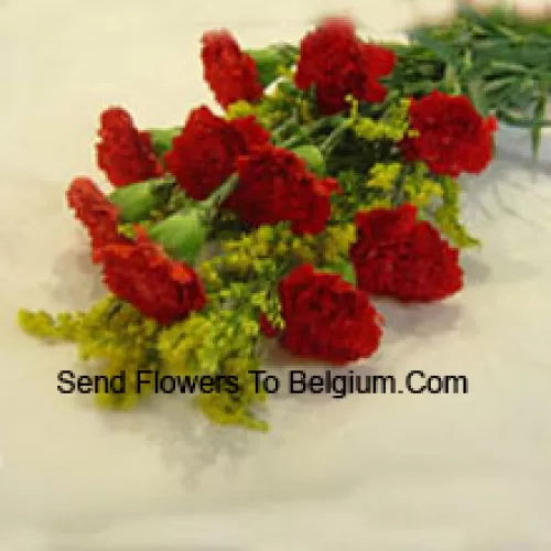 Bunch Of 11 Red Carnations