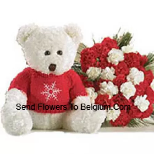Bunch Of 25 Red And White Carnations With A Medium Sized Cute Teddy Bear